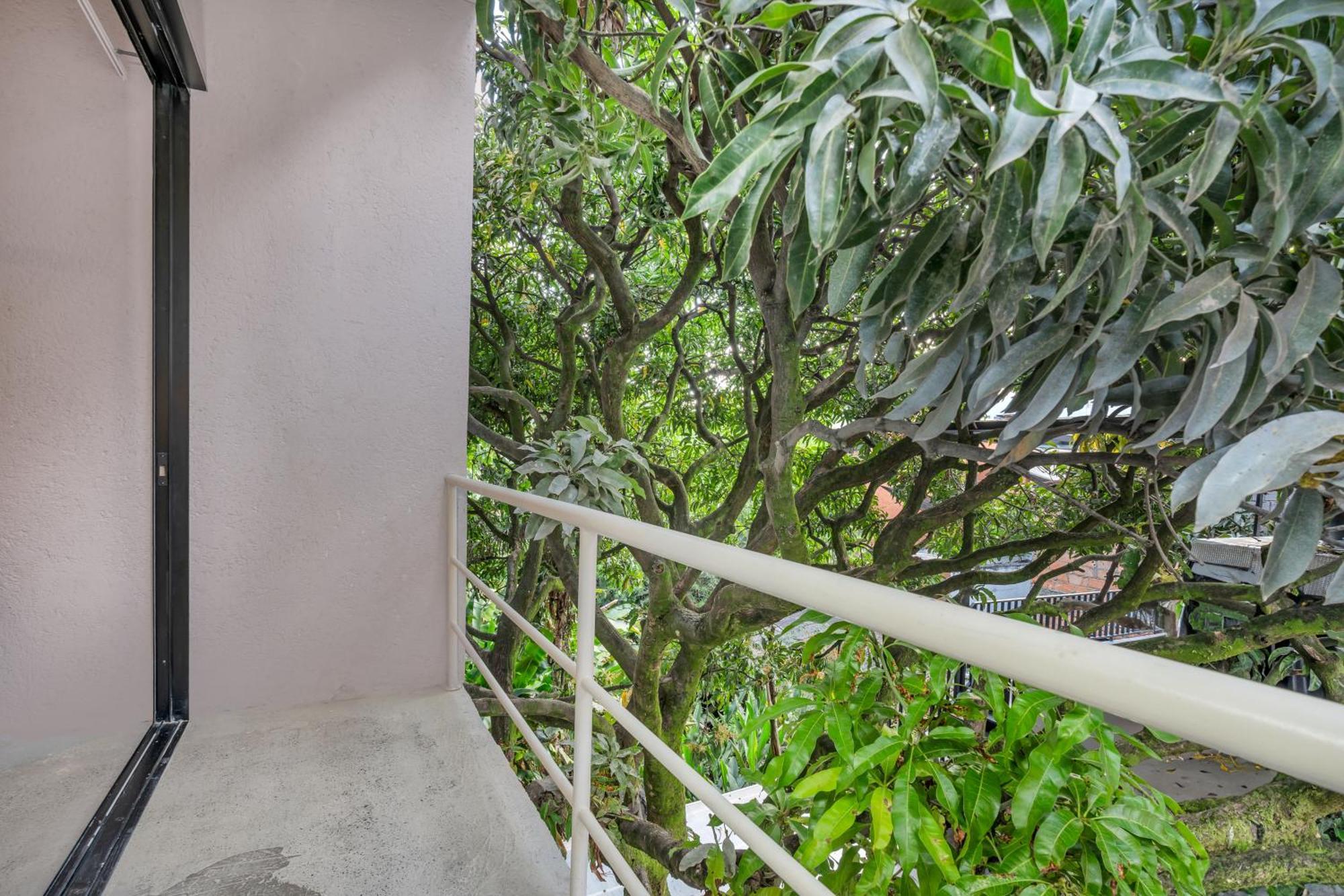 Botanica Casa Hotel Manila By Housy Host Medellín Buitenkant foto